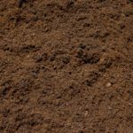Bedding Soil (75/25) - Cubic Yard
