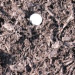 Azalea Bed Super Fine Mulch - Cubic Yard