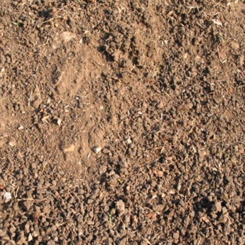Black Dirt