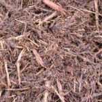 Cedar Mulch - 1 Cubic Ft Bag