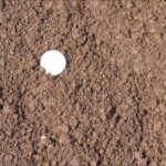 Dairy Manure Top Dressing - Cubic Yard