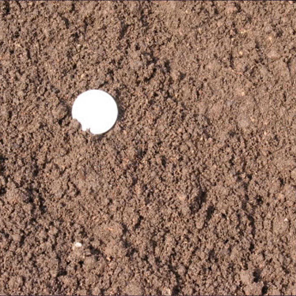 dairy manure top dressing