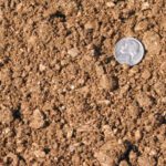 Decomposed Granite - Cubic Yard