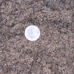 Deep Bedding Soil - Cubic Yard