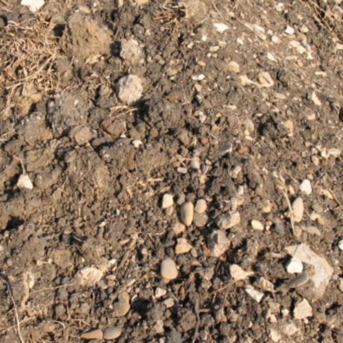 Fill Dirt