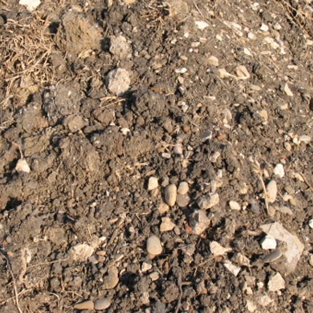 Dirt / Clay