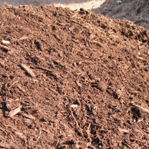 Filter Berm