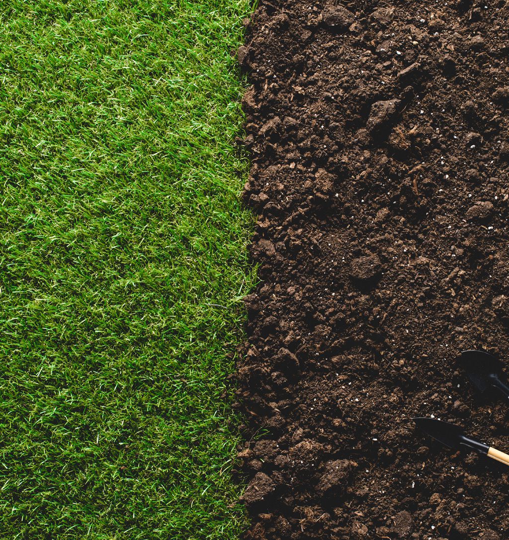 Lawn Soils