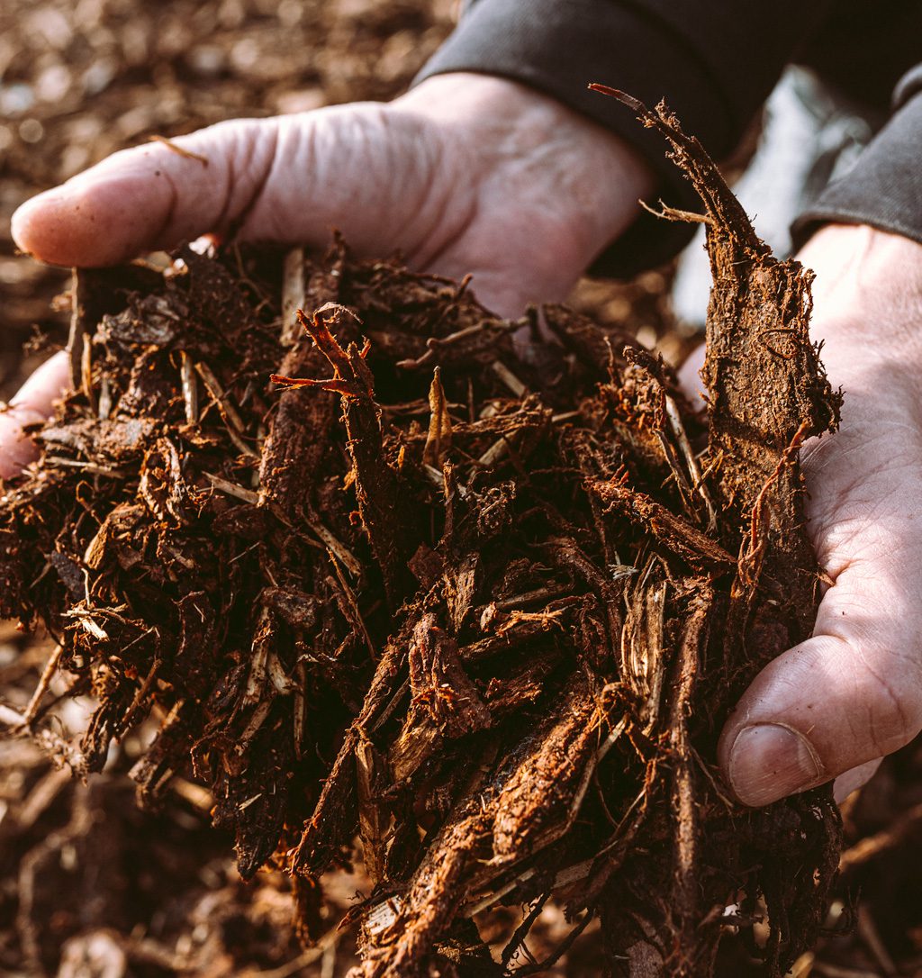 Mulch