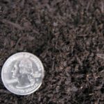 pH Balanced Top Dressing - Cubic Yard