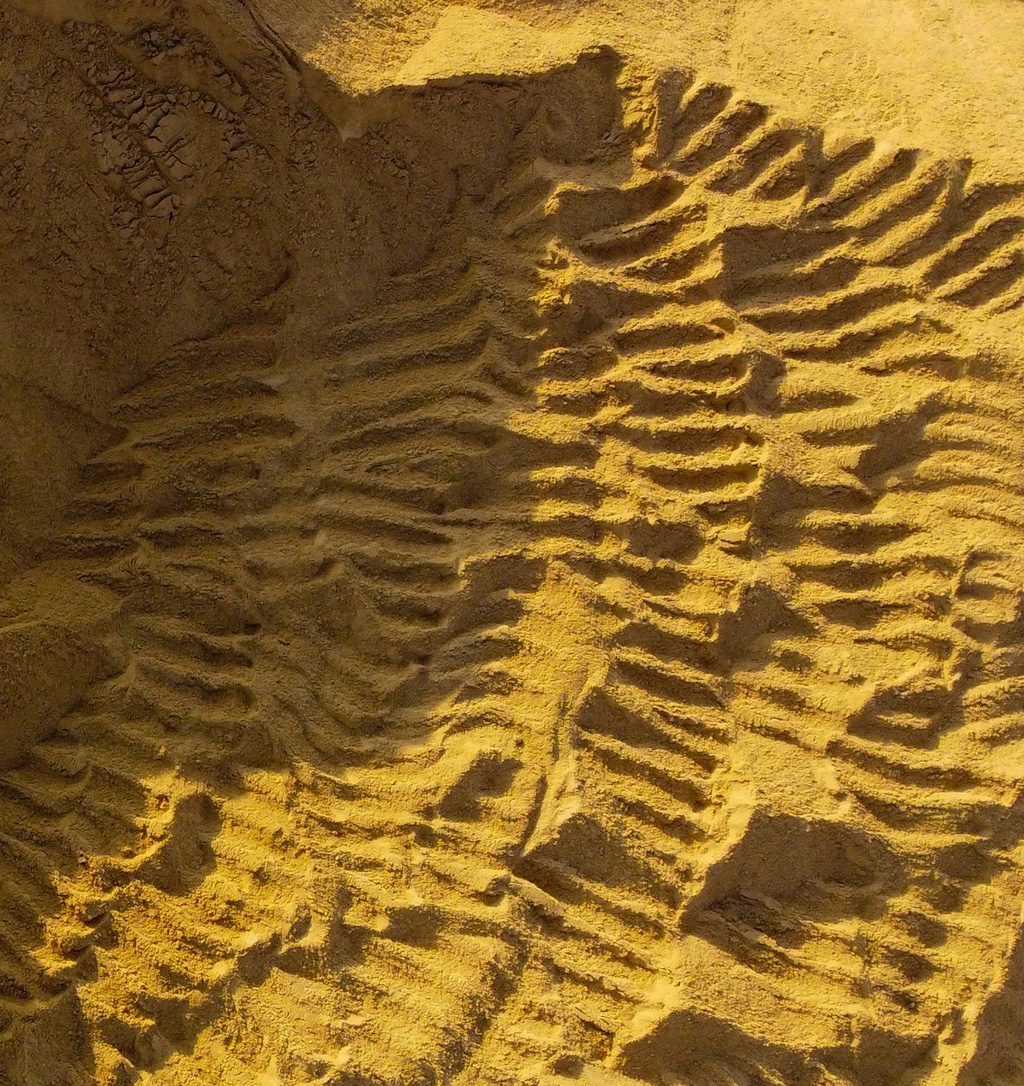 Sand