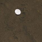Texas Greensand - Cubic Yard
