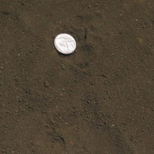 Texas Greensand