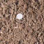 Ultra Container Soil - Cubic Yard