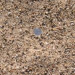 Washed Concrete Sand - Cubic Yard