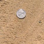 Washed Mortar Sand - Cubic Yard