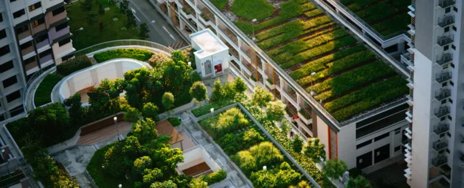 Why Green Roof Mix Is the Key to Spring 2025 Success