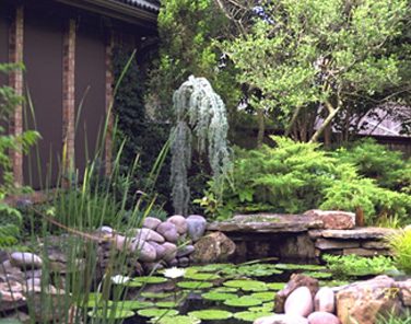 Landscape Concepts