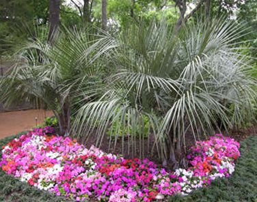 Landscape Concepts
