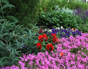 Landscape Concepts