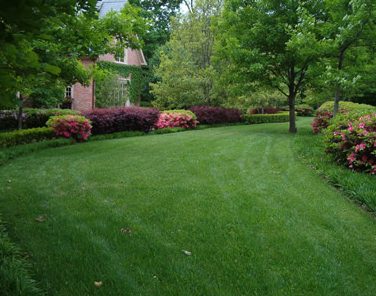 Lawns of Dallas
