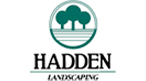 David Hadden